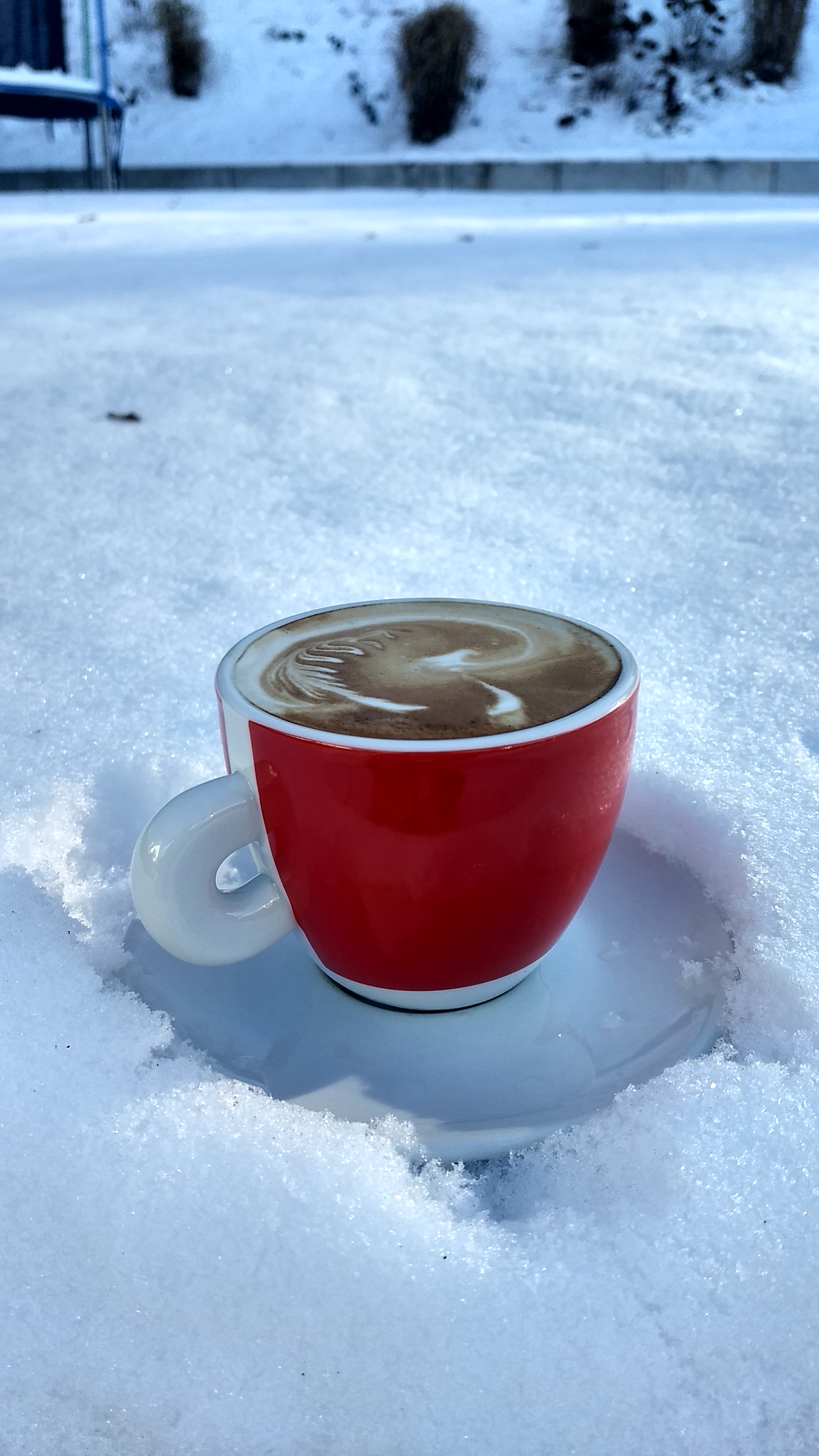 Cappuccino in
            roter Tasse im Schnee